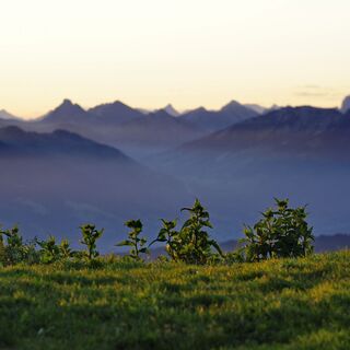 Blick von der Nagelfluhkette