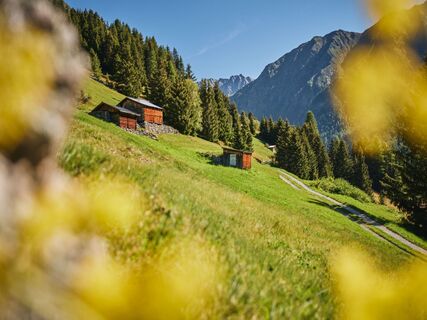 Bergmahderweg Sommer