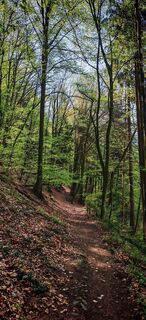 Foto von ReginaSt entlang der Tour