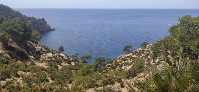 Photo de KaiZacharias le long du parcours