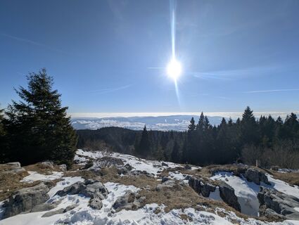 Fotografia z Ale Tagliaro na trase