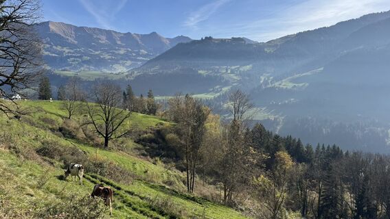 Foto von peter_oe entlang der Tour