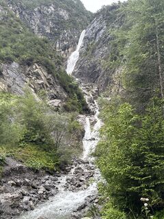 Foto von Grizzli entlang der Tour