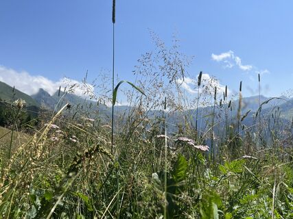 Foto von Ben Möhlmann entlang der Tour