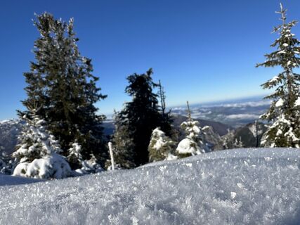 Zdjęcie z Natur_erleben_dg wzdłuż trasy