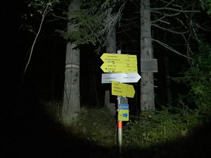 wir starten im Kegel unserer Stirnlampen