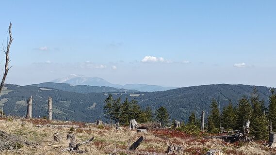 Fotografia z Bergpirat na trase