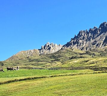 Fotó a Veronika Strauss honlapról a túra során