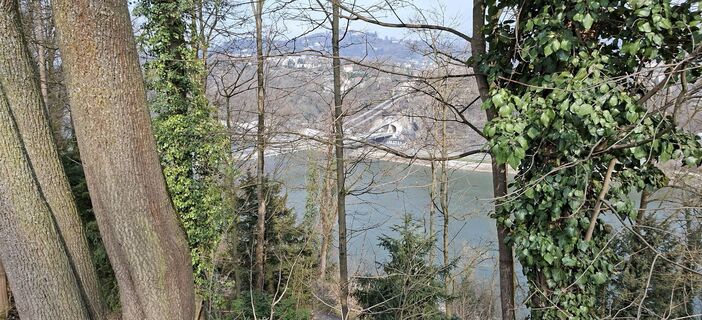 Fotografija s spletne strani M Dicketmueller na poti