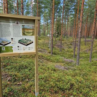 Päihäniemen Naturpfad