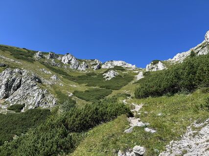 Foto de Andrea Opitz-Jandrisits a lo largo del recorrido