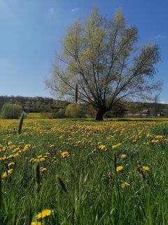 Foto da re.kw lungo il tour