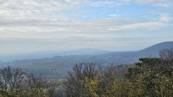 Foto von Alexandra Stani entlang der Tour