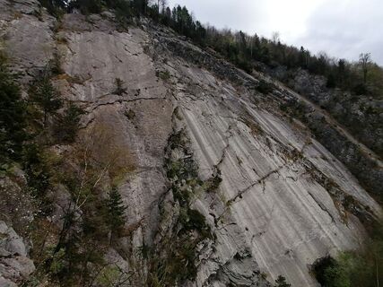 Fotografija s spletne strani luyyy na poti