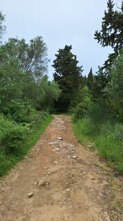 Photo de Andreas Finger le long du parcours