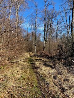 Trail Tour 47