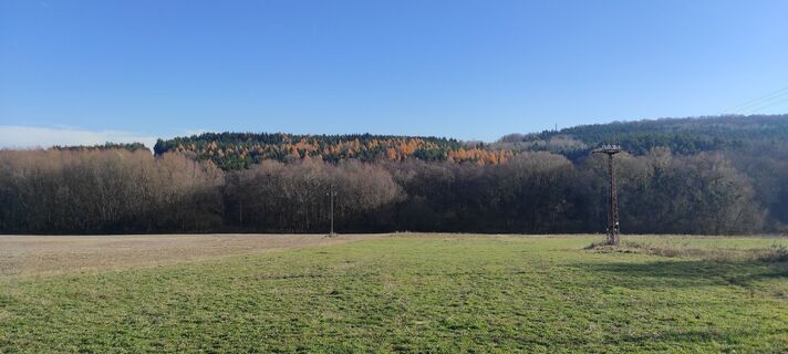 Fotografija s spletne strani Làszló Visi na poti