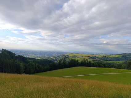 Photo de Meli le long du parcours