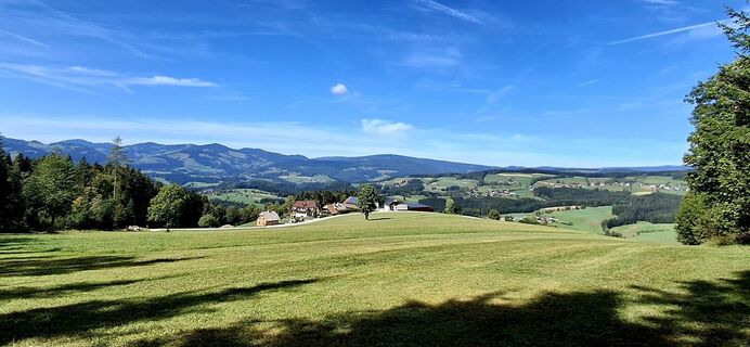 Fotografija s spletne strani zirberl na poti