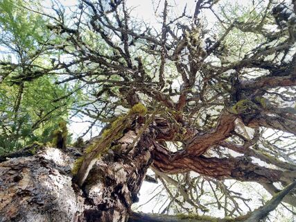 Kuva osoitteesta WolBo matkan varrella