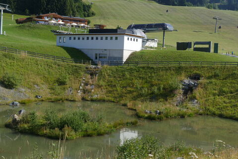 Photo de fleibu le long du parcours