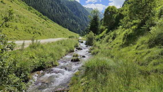 Fotografija s spletne strani Gerrit van der Linde na poti
