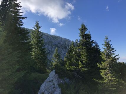 Wildes Gamseck vor den Augen