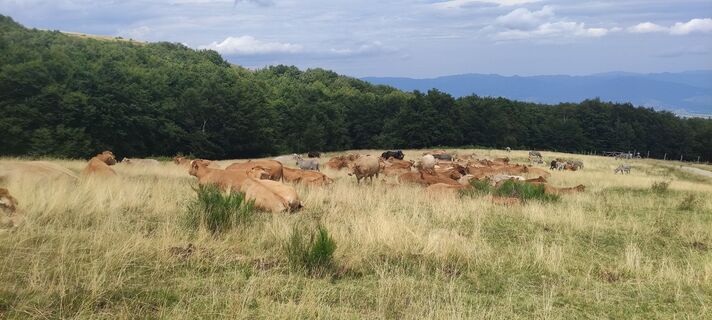 Zdjęcie z Claudio Clemente wzdłuż trasy