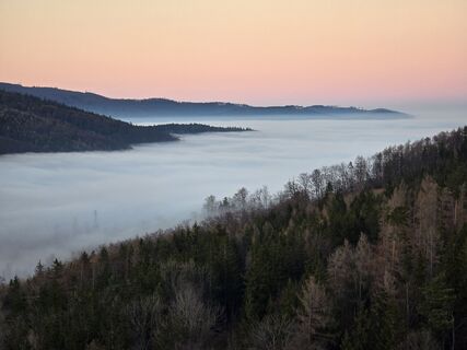Fotografia z TwilightTea na trase