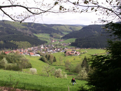 Nordic-Walking im Gastlichen Kinzigtal