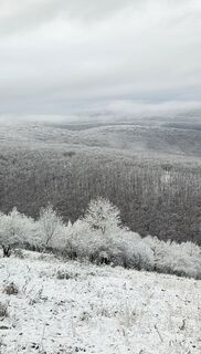 Photo de János Zsolt Mahr le long du parcours