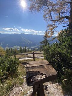 Foto från Sven Krieblin under resans gång