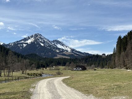 Foto von Similaun entlang der Tour