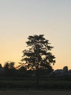 Foto von Christian Mark entlang der Tour