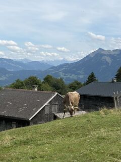 Fotografia z Dóra Halász 1 na trase