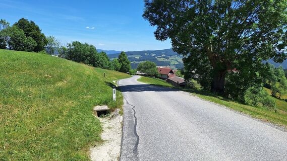 Foto von Monalisa entlang der Tour