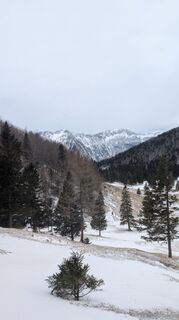 Foto von Stubi entlang der Tour