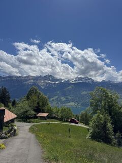Foto von mountain hunter entlang der Tour