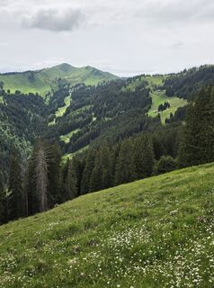 Foto von Gudrun Lippert entlang der Tour
