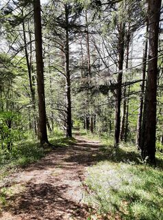 Foto von Oliver Vecera entlang der Tour