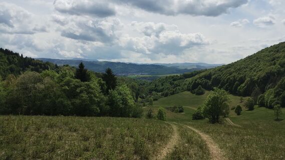 Fotografija s spletne strani Martin Bilik na poti