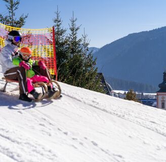 Rodeln auf der Mariazeller Bürgeralpe
