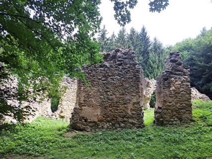 Fotografija s spletne strani Walter Köllner na poti