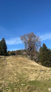 Fotografia z Daniel Kaiser 4 na trase