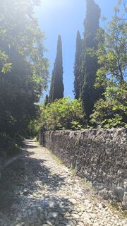 Photo de Inna Langer le long du parcours