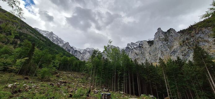 Photo de joryne68 le long du parcours