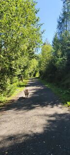 Foto de Marco Finocchiaro a lo largo del recorrido
