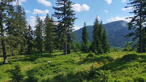 Foto de Gerhard Gössinger a lo largo del recorrido