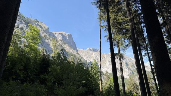 Photo de Zsolt Kozsla le long du parcours