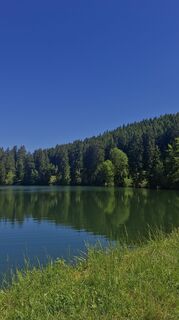 Fotografija s spletne strani angelina.jlee na poti
